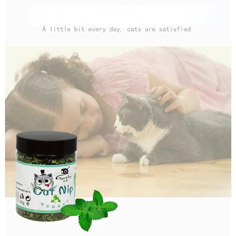 https://ae01.alicdn.com/kf/S0b625fc8d383487c9371f59b1e7d3329d.jpg