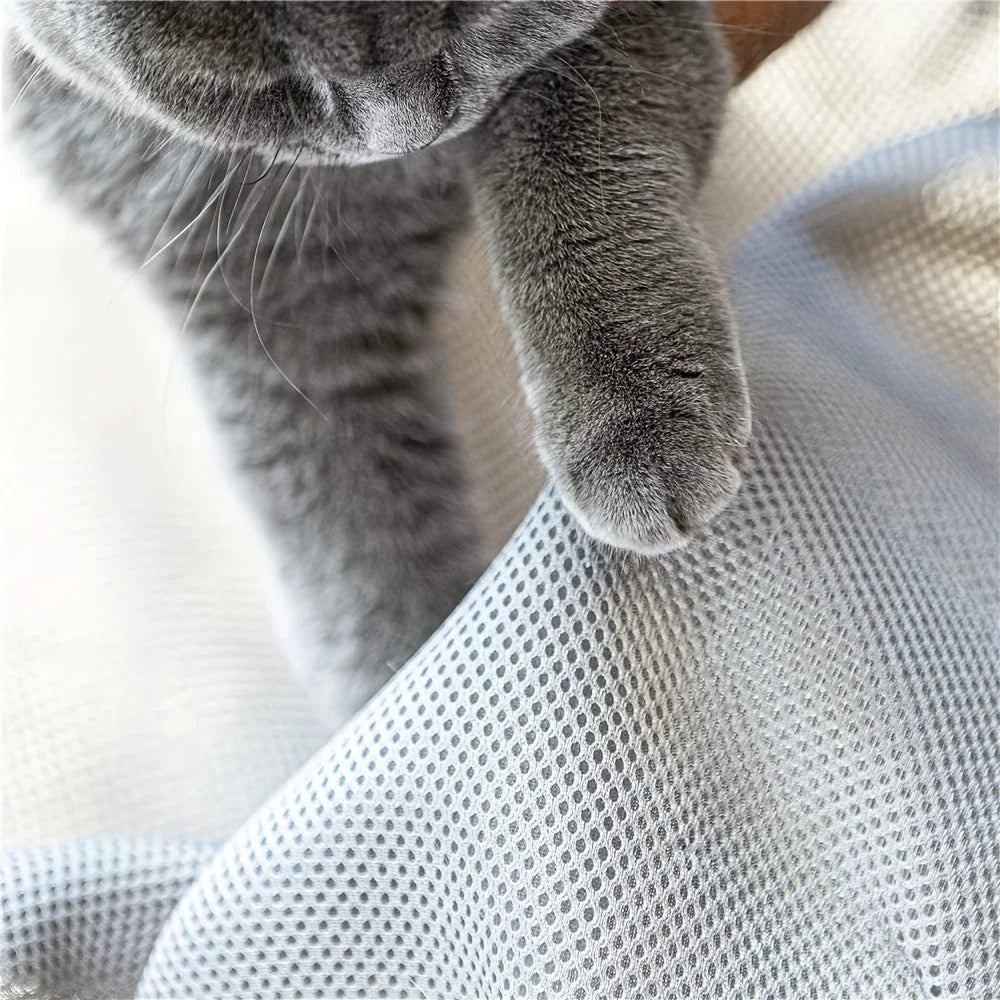 Cat pawing cat hammock