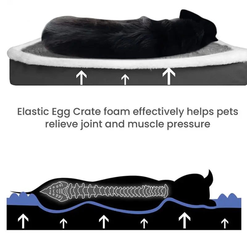 Diagram showing that the dog mat bed is good for a dog's health and comfort