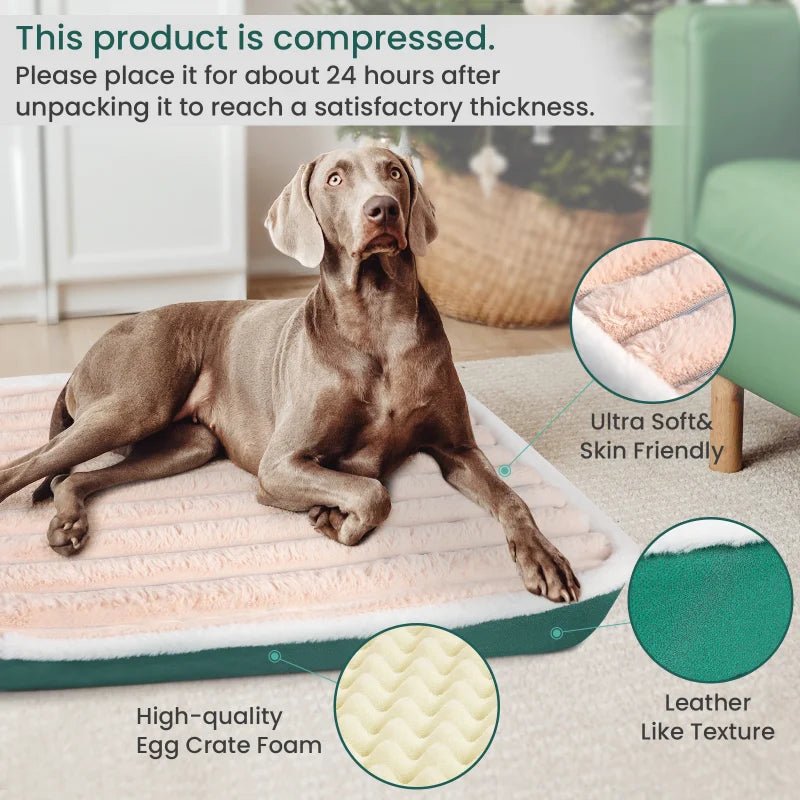 Picture and diagram of the materials inside the dog mat.