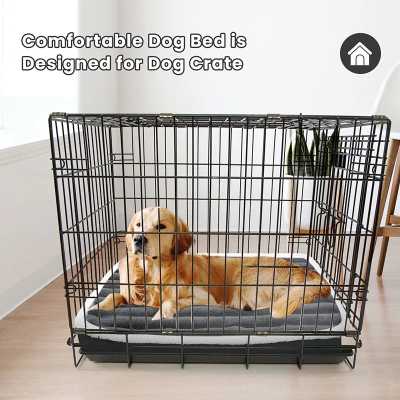Picture of dog mat inside dog crate. Golden retriever inside